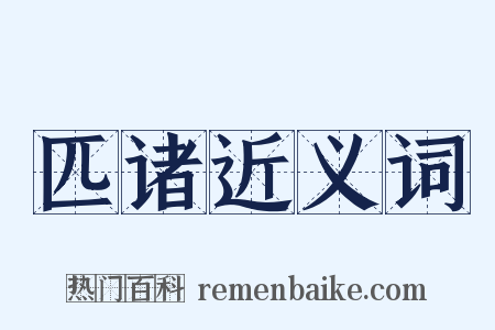 匹诸近义词是什么意思的图片